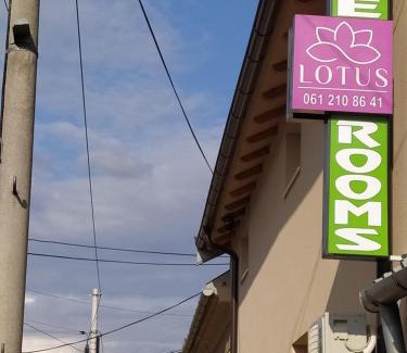 Zrenjanin Apartment | Lotus house