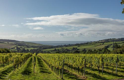 Bridport Hotel | Louma Country Hotel