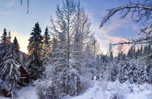 Alyeska Hotel | Loveland Cottage