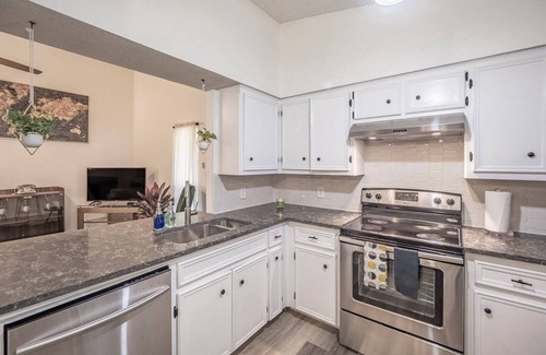 Anderson Mill Apartment | Lovely and modern two bedroom condo