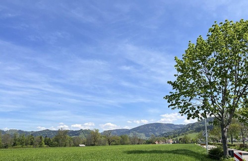 Kirchzarten Apartment | Lovely apartment for 2 people with WIFI, TV, balcony and parking