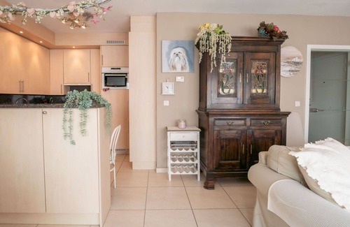 Wenduine Apartment | Lovely apartment for 2 guests with WIFI, TV, terrace and pets allowed
