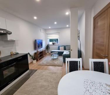 Novi Grad Sarajevo Apartment | Lovely Apartment Sarajevo
