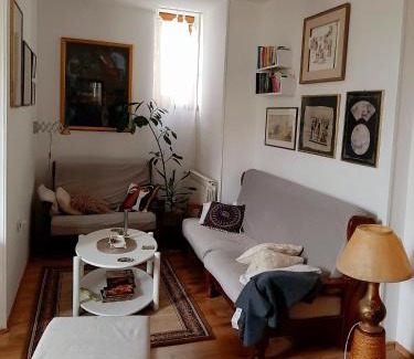 Petrovaradin Apartment | Lovely bright Apartment with Backyard-renovated!