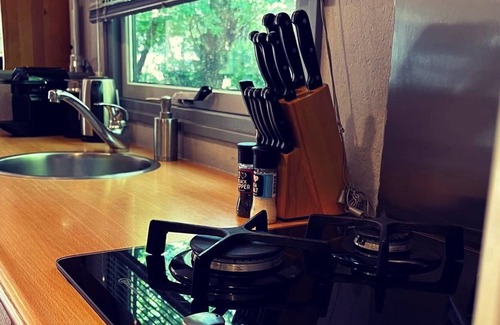 Nunspeet Ski Chalet | Lovely forest chalet with unprecedented peace and freedom