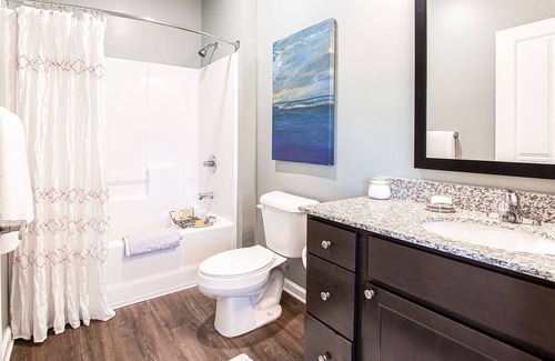Murfreesboro Apartment | Lovely one bedroom apartment - w/ modern amenities.