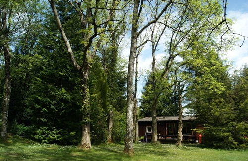 Cenarth Cabin | Lovely pine lodge on woodland conservation site