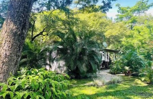 Nosara Apartment | Lovely rental unit in Nosara, steps from the beach