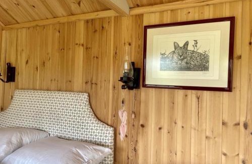 Camelford House | Lovely shepherds hut in Cornwall