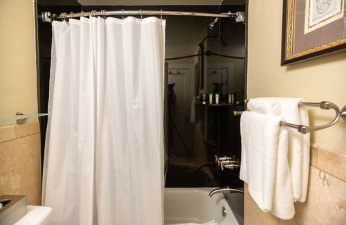 Durham Apartment | Lovely studio walking distance to Duke