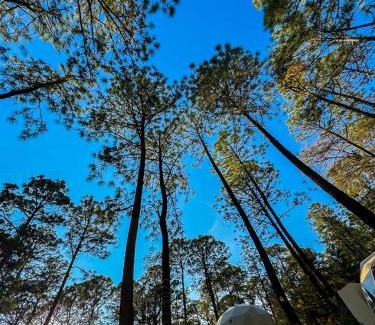 Tapalpa Other | Luahara Glamping Tapalpa - Domo Natural Experience