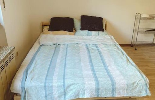 Kaiserslautern Apartment | Lucky House 5