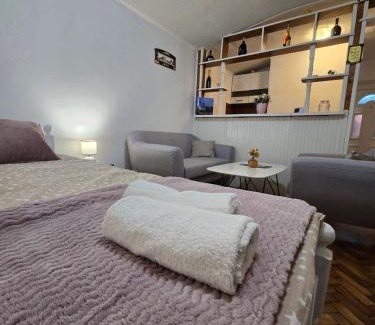 Sremski Karlovci Apartment | Lugonja studio