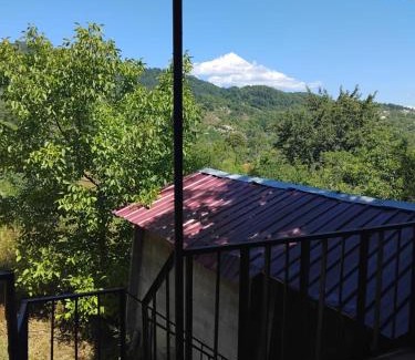 Ambrolauri House | Lusa Guesthouse
