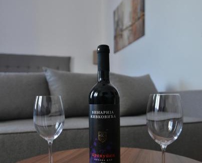Vrnjacka Banja Apartment | Lux Pegaz 008