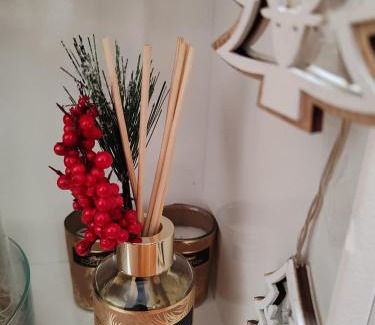 Vrnjacka Banja Apartment | Lux Pegaz 008