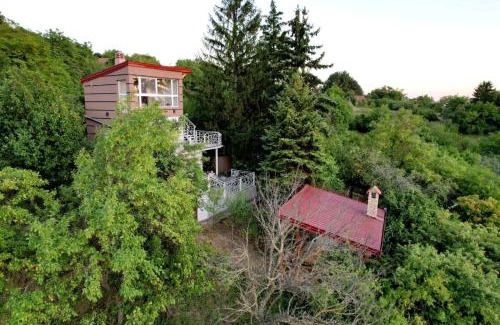 Petrovaradin House | Lux Star-vila za odmor