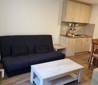 Lisina Apartment | Lux Village Kopaonik Apartments