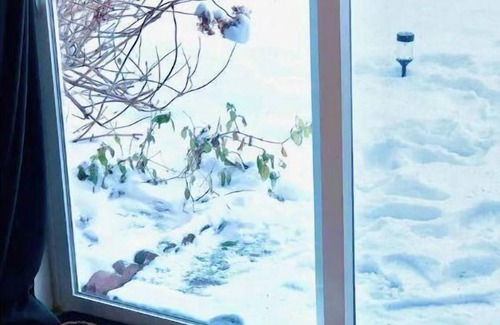 Wilkes Apartment | Luxe Suite:Elegance&Rest NE PDX.12 mins Airport