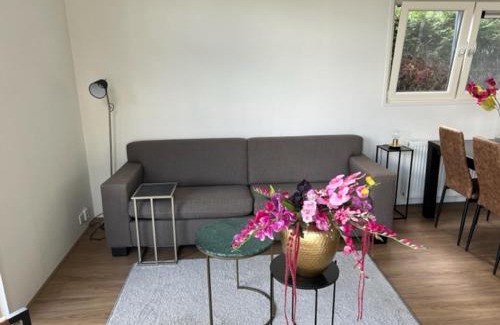 Voorthuizen House | Luxe vakantievilla in Voorthuizen