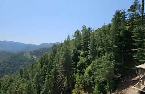 Shimla Apartment | Luxuries 2 BHK Appartment With Scenic Views