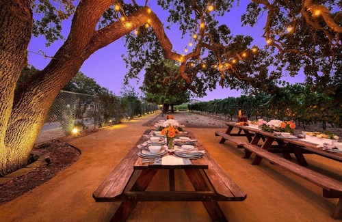 Sonoma House | Luxurious 7-Acre Estate & Guest House on Private Vineyard, With Pool & Game Room