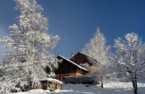 Villard-Reculas Ski Chalet | Luxurious and cozy chalet - right on the slopes - free WiFi&Netflix- Alpe d'Huez