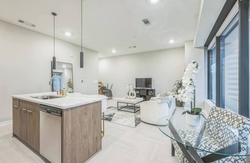Civil Rights Historic District Apartment | Luxurious Downtown Stay Skyline Views + Wi-Fi