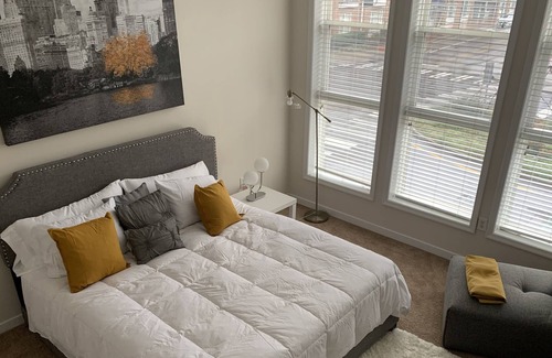 Downtown Condo | Luxurious Space Norfolk, VA Waterside District.
