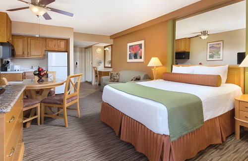 Palm Springs Resort | Luxurious Studio Resort near Coachella Festival