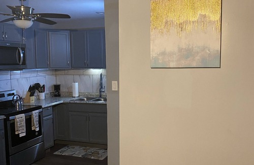 Wilmington Apartment | Luxury 2 bdr 3rd floor apartment
