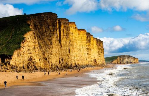 Beaminster House | Luxury 2 Bed Woodland Cottage on Rewilding Estate