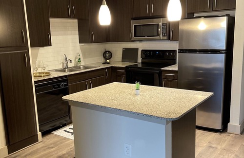 Woodlake - Briar Meadow Apartment | Luxury apartment 8 minutes away from the galleria mall!
