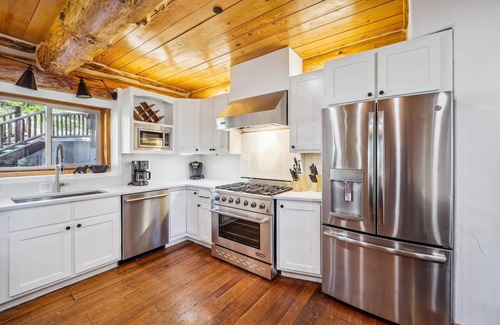 Baldy Mountain House | Luxury Breckenridge Modern Log Cabin: Mountain Views and Private Ski Shuttle!