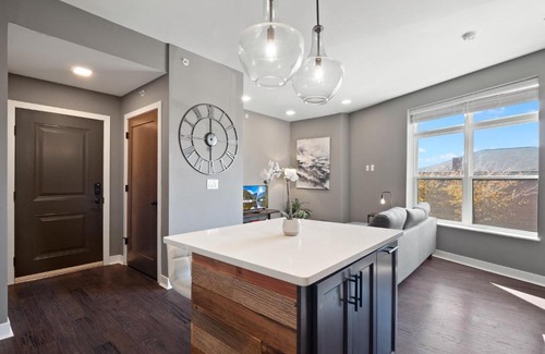 Ohio City Apartment | Luxury Condo 10 Minutes from First Energy Stadium B4
