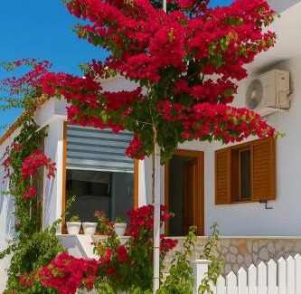 Qafe e Gjashtes House | Luxury Dennis Home