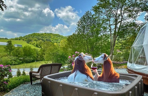Banner Elk Cabin | Luxury Geodome, Winery view,Hot tub, Kingsize Bed