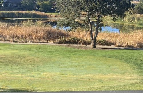 Angels Camp House | Luxury home on Greenhorn Creek Resort's 5th Hole