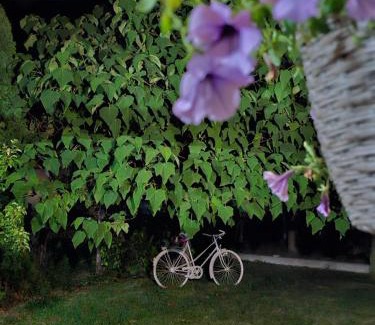 Visoko Apartment | Luxury house "Heart of Nature" Visoko