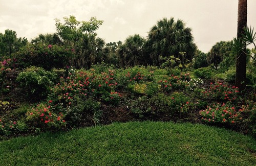 Bellagio House | Luxury House, Private Pool In Venice Florida, the Bellagio gated community