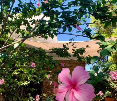 La Pelosa Villa | Luxury house with sea view