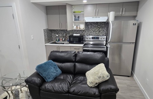 North Central Edmonton House | Luxury one bedroom basement suite in downtown of Edmonton Alberta.