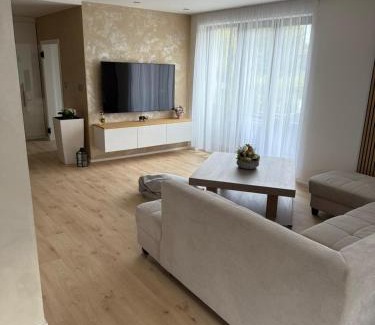 Herink Villa | Luxury Prague House with Car