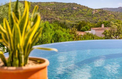 Baja Sardinia Villa | Luxury Villa in Cala dei Ginepri