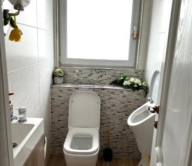 Ebersbach an der Fils Apartment | Luxus Villa 5 Schlafzimmern Sauna privater Pool Großer Garten