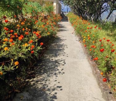 Kaul House | Maa Parwati Homestay Dhanachuli