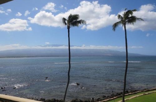 Maalaea Apartment | Maalaea Kai 316 condo