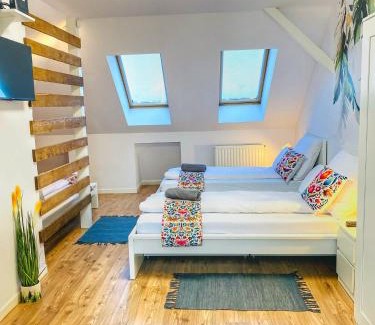 Morahalom Apartment | Magenta Apartman
