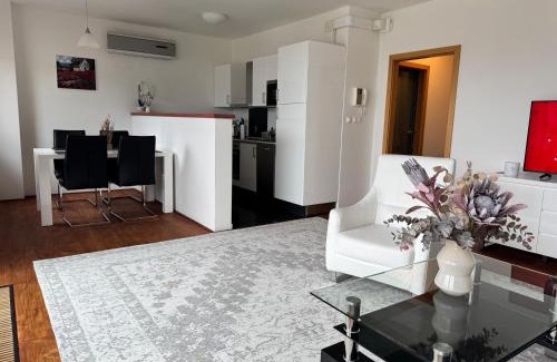 Karlovy Vary Apartment | Magic View Apartman Vyhlidka