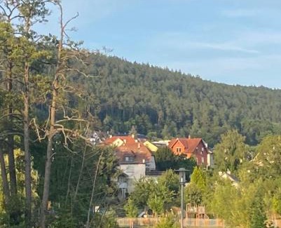 Sendelbach Apartment | MAIN NEST Apartment
